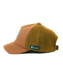 RB3647 Kelly Solid Cap